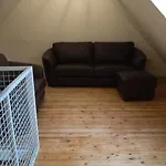 Eulen-&altstadtnest *