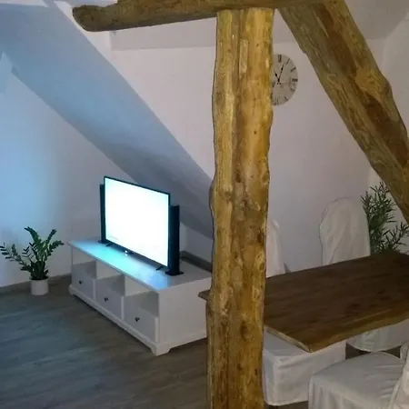 Eulen- & Altstadtnest *