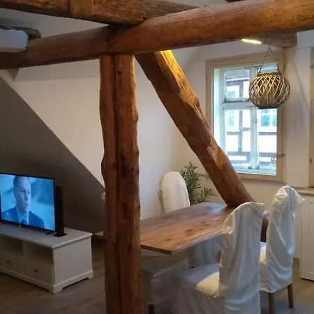 Eulen- & Altstadtnest * Peine