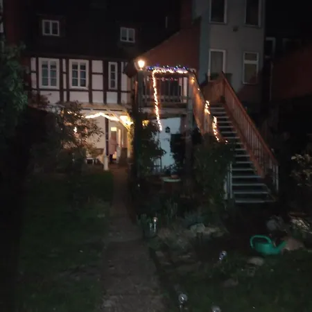 Eulen- & Altstadtnest *