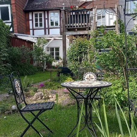 Eulen-&altstadtnest