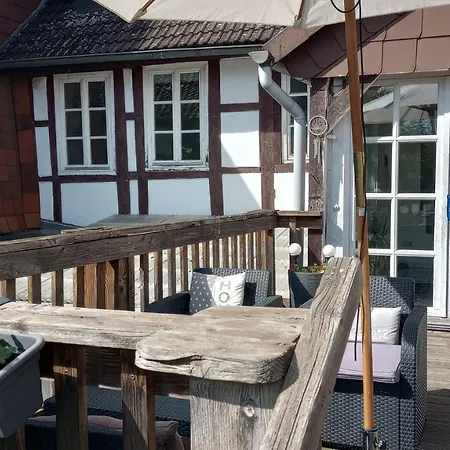 Eulen-&altstadtnest *