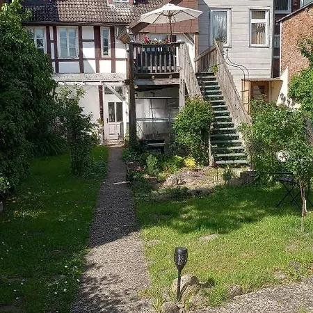 Eulen- & Altstadtnest